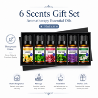 Lot de 6 Huiles Essentielles Pures en Promotion – Coffret Cadeau d'Aromathérapie Parfum Lavande – Liquide Écologique pour Diffuseur Domestique et Fabrication de Bougies
