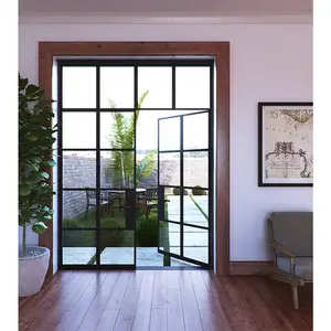 现代滑动法国庭院critall内装不锈钢门，带玻璃