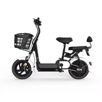 Vélo électrique 24 pouces avec panier 350W 48V 13Ah moteur puissant pour les trajets en ville et la saleté
