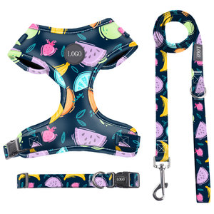 Arnés para mascotas de alta calidad, juego de cuerda de tracción, estilo coreano a la moda, arnés para cachorros y gatos, correa de tela de malla transpirable para perros - Product Image 6