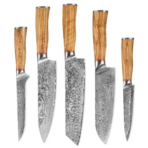 5 buah Set pisau dapur Damaskus, 67 lapisan VG10 koki baja Damaskus Kiritsuke Santoku pisau utilitas dengan pegangan zaitun