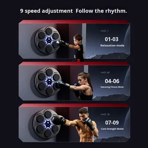 Nuevo Equipo de Entrenamiento de Boxeo con Música LED de PP, Objetivo de Pared, para Adultos, Fitness en Casa, Entrenamiento para Padres e Hijos, Caja de Color - Product Image 2