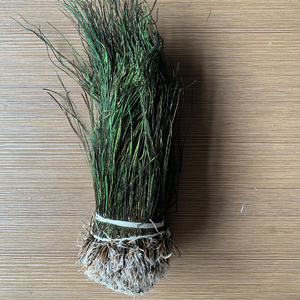 Tinto naturale di <span class=keywords><strong>pavone</strong></span> con corde Herl <span class=keywords><strong>piume</strong></span> di <span class=keywords><strong>pavone</strong></span> per la mosca che lega materiale pesca Costume Fascinator accessori per capelli - Product Image 1
