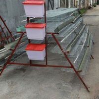 Un Type H Type 3 ou 4 Couche Volaille Cage Poulet Couche Poucher Ferme Poulet Volaille Cage Poulet Couche
