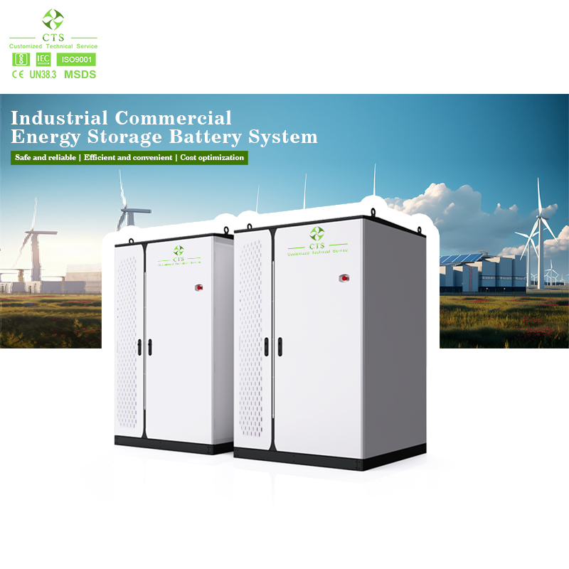 CTS Energy Storage Container Battery 100kWh