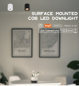 ไฟดาวน์ไลท์ LED แบบฝังสีขาวมินิมอล 3000K 2700K IP44 หมุนได้ 360 องศา ป้องกันการกระพริบ 9.5w ไฟติดเพดานแบบติดพื้นผิว - Product Image 6
