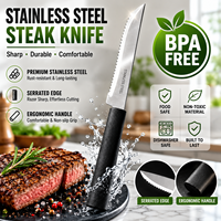 Couteau à dîner en acier inoxydable sans BPA, ensemble de couteaux à steak tranchants avec manche en PP, couteau de table pour hôtel, restaurant, couverts en vrac