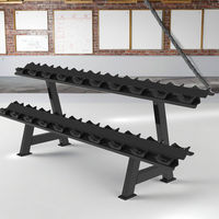 Support de Rangement Commercial Premium pour Haltères Hexagonaux Double Couche en Métal, Capacité 400kg, Tube de 2,5mm, Équipement de Rangement pour Entraînement de Force en Salle de Sport