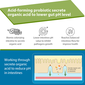 Thức ăn lớp clostridium butyricum <span class=keywords><strong>Probiotic</strong></span> cho gia cầm Gà Thịt lớp lợn bò sữa Cá Tôm vật nuôi thức ăn chăn nuôi - Product Image 3