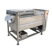Automatische Rode Dadels Palmreinigingsmachine Rolborstel Groente Reinigingsmachine