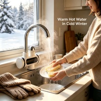 Robinet d'eau chaude électrique à chauffage rapide 220V 3000W/3500W avec buse isolée en acier inoxydable, utilisation autonome pour la maison et la voiture