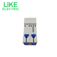 NXB-63 2P C type 63A interrupteur d'air petit disjoncteur protecteur comme électrique