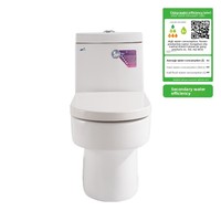 WC monobloc moderne et minimaliste en PVC à siphon, économe en eau, à poser au sol, avec chasse d'eau puissante et jet de pulvérisation