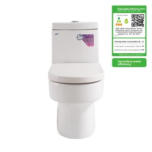 WC Monoblocco Moderno Minimalista in PVC con Scarico a Sifone, Risparmio Idrico, Montaggio a Pavimento, con Potente Scarico e Getto Spray - Product Image 4