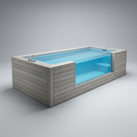 Piscine préfabriquée en conteneur maritime de 18/20 pieds pour extérieur - SPA moderne de petite taille avec fenêtre en acrylique transparent