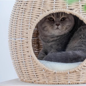 Minimalist 4-Level <b>Cat</b> <b>Tree</b> With Woven Hideout Hammock And <b>Scratching</b> Posts For Indoor <b>Cats</b> - Product Image 6