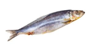 Porciones de Arenque Congelado Entero, Orgánico Premium, Sin Nicotina, Capturado en la Naturaleza, Alto en Proteínas, Bajo en Carbohidratos, Venta al Por Mayor para Servicios de Alimentación - Product Image 5