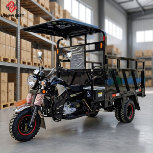Motocicleta de Carga de Tres Ruedas con Volquete, de Gran Capacidad (2000 kg), 70 km/h, sin Escobillas, de Grado Comercial, ¡Venta Caliente! - Product Image 2