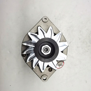 Alternador de Excavadora 24V 45A 8PK para Cummins Case <span class=keywords><strong>John</strong></span> <span class=keywords><strong>Deere</strong></span> 0120488206 0120488294 0120489071 - Product Image 3