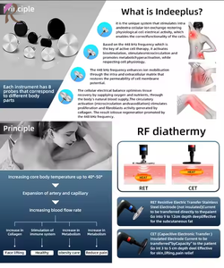 Equipo de Diatermia RF de Escritorio a <span class=keywords><strong>Precio</strong></span> de Fábrica para <span class=keywords><strong>Tratamiento</strong></span> Facial, Reduce las Arrugas Finas - Product Image 3