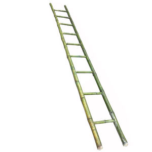 Environmentally-friendly bamboo <b>ladder</b> is durable and lightweight, perfect for home <b>decoration</b>, storage, display and practical u - Product Image 2
