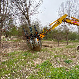 Shandong Factory <b>Tree</b> Spade Skid Steer & Excavator 6 Ton Suitable 800kg <b>Weight</b> <b>Tree</b> Transplanter Machine - Product Image 6