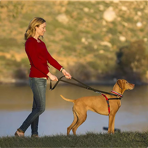 Correa para mascotas para entrenamiento de perros, correa para perros multifuncional de nailon de <span class=keywords><strong>2M</strong></span> personalizada, correa de entrenamiento suave ajustable para perros - Product Image 6