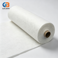 Fournisseurs de tissus géotextiles non tissés 100-800 g/m² en polyester PP pour la construction routière et le drainage
