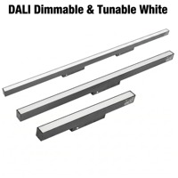 Spot LED magnétique 48V sur rail, blanc réglable DALI DT8, COB, en aluminium, linéaire, encastré ou en saillie, pour système de plafond, maison, bureau, moderne, CRI