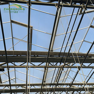 Serra Commerciale Intelligente Multi-Campata in Vetro Strutturale con Telaio in Acciaio Zincato a Caldo di Grandi Dimensioni per l'Agricoltura - Product Image 6