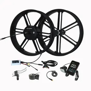 20 inch magnesium alloy in wheel hub motor 36v 48v 250w 500w 750w Integrated Wheel Motor kit For Ebike