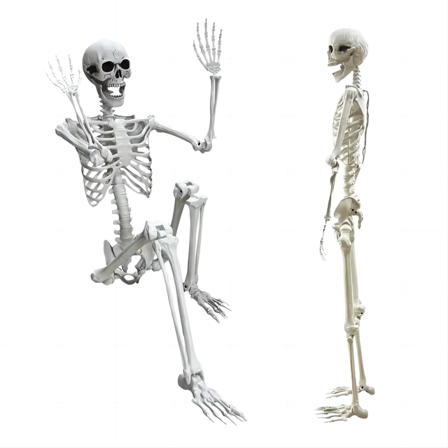 Hot Selling Human Life Size Halloween Skeleton Skull Model Plastic Party Decorations