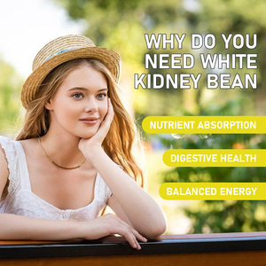Hot Sale White Kidney Bean Gummies with White Kidney Bean Extract Appetite Supports Carb Control Metabolism Balance Gummies - Product Image 3