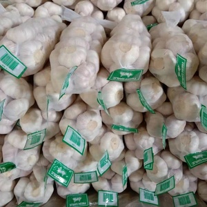 Ajo Jin <span class=keywords><strong>Xiang</strong></span> Rojo y Blanco Puro de 5.5cm y 6.0cm, Última Cosecha, Exportación a Granel, Proveedor de Ajo Fresco - Product Image 5