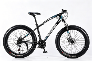 Venta caliente bicicleta de montaña 21/24/27/30 velocidad bicicleta de nieve personalizada MTB bicicleta - Product Image 4