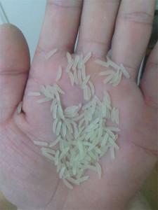 Machine automatique de traitement instantané du couscous nutritif, machine à riz artificiel - Product Image 6