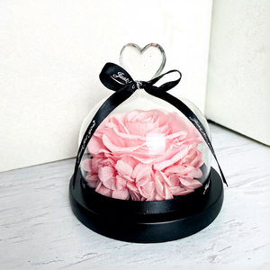 Regalos Más Populares: Rosa <span class=keywords><strong>Eterna</strong></span> La Bella y la Bestia, Flor Preservada en Cúpula de Cristal con Forma de Corazón - Product Image 5