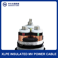 Cable de Alimentación de Media Tensión de Alta Calidad con Núcleo de Aluminio Zetastone, Revestimiento de PVC, Blindaje de Acero y Aislamiento XLPE para Construcción
