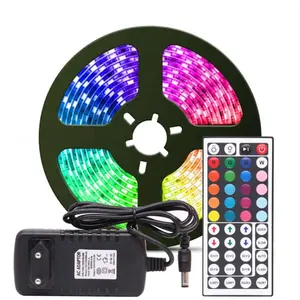 Tira de luces LED RGB con cambio de color de 12V y 5 metros, tira de luces LED direccionable remota