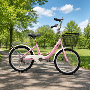 Fourniture d'usine – Vélo pour femme 20 pouces avec cadre bas et panier, personnalisable OEM, modèle 410 à cadre bas – Conception E - Product Image 1