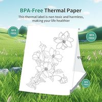 Papel Térmico Plegado A4 Premium, 210x297mm, Libre de BPA y de Secado Rápido, Perforado para Fácil Desgarro, Calidad Profesional para Hogar y Oficina