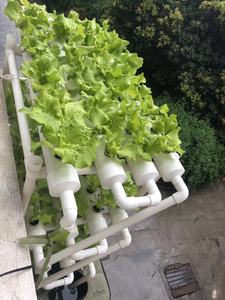Sistema de Cultivo Hidropónico de 3 Niveles y 108 Orificios con Tubos de PVC para Interiores - Product Image 6