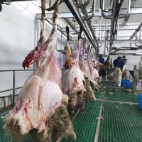 Abattoir Complet pour 150-500 Têtes par Jour, Spécialisé dans la Viande de Chèvre et d'Agneau