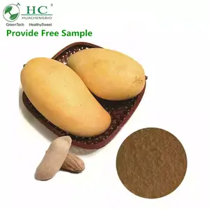 GMP ISO Mangiferin African Dried Mango Seed Extract 10-30%