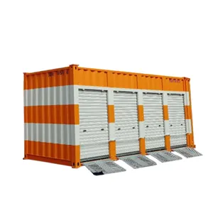 Dfcu Custom Kleur 20 Voet Containers Grote Capaciteit Opslag Aangepaste Container