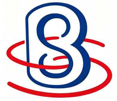 Shanghai Baosai Environmental Protection Materials Co., Ltd. logo