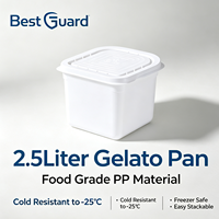 Meilleur bac à gelato carré de 2,5 L, sans PFAS, en PP de qualité alimentaire, compatible congélateur, empilable, en plastique, pour le stockage de la crème glacée