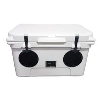 Glacière de coffre 45L en PE étanche, prête pour l'aventure, avec haut-parleurs, pour vin, nourriture, canettes, glace et confitures - Organisateur de rangement polyvalent