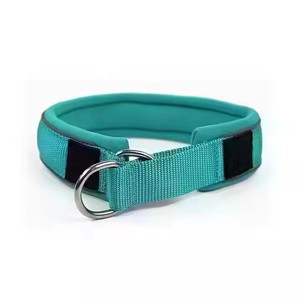 <span class=keywords><strong>Collier</strong></span> pour <span class=keywords><strong>chien</strong></span> en nylon souple réglable <span class=keywords><strong>de</strong></span> haute qualité, utilisé pour l'exercice quotidien et l'entraînement - Product Image 2