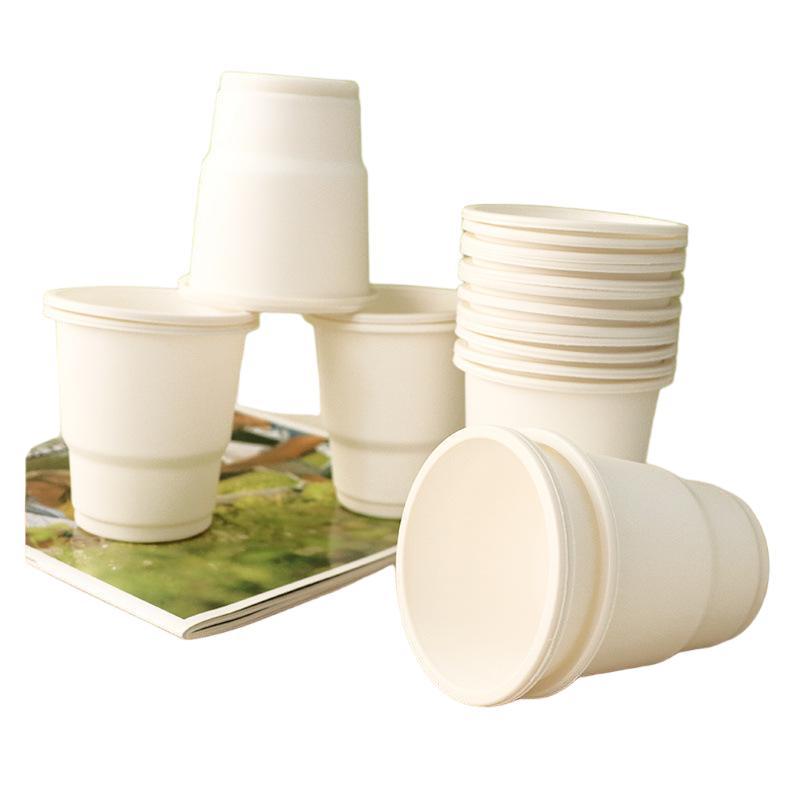 Biodegradable Cornstarch Biobased Eco Friendly Disposable
